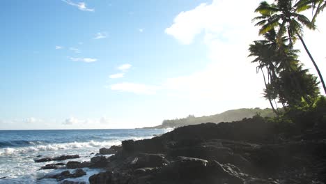 Inclínese-Hacia-Abajo-Desde-Las-Palmeras-Tropicales-Hasta-La-Playa-En-Un-Día-Soleado-En-Hawai