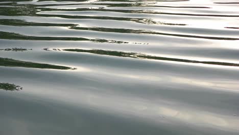Front-view-on-water-waves-and-light-reflections-on-lake-surface