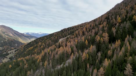 Atemberaubende-Drohnenaufnahmen-Eines-Alpinen-Tals-Im-Herbst-Mit-Verschiedenfarbigen-Bäumen-Und-Einem-Fluss,-Der-Auf-Dem-Talboden-Fließt,-Umgeben-Von-Schneebedeckten-Berggipfeln