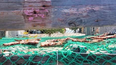 Small-sun-dried-Fish-Laid-Out-On-A-fishing-mesh-and-Wooden-Rack,-fisherman-house,-zoom-out