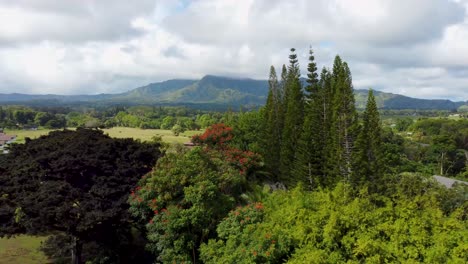 Cinematic-aerial-shot-of-Kauai-forest-reserve,-Kapaa-Hill---Kauai,-Hawaii
