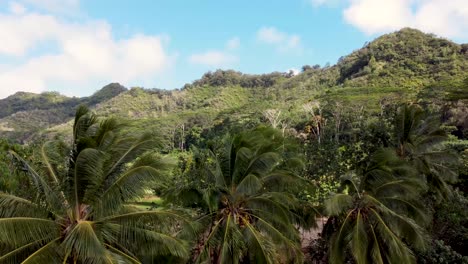 Cinematic-aerial-footage-of-Sleeping-Giant,-Kapaa-Hill---Kauai,-Hawaii-Shot-showing-the-beautiful-tropical-forest-with-palms-and-mountains