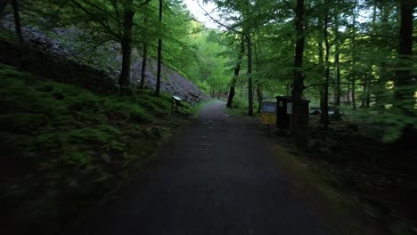 Running-in-green-woods-during-summer