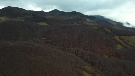 Massiver-Wald-Mit-Blattlosen-Bäumen,-Die-An-Einem-Regnerischen-Herbsttag-Den-Hang-Des-Alpenbergs-Bedecken