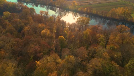 Epischer-Luftflug-über-Nebelwald-Sonnenuntergang-Bunte-Herbstbäume-Goldene-Stunde-Sonnenuntergang-Farben-Epischer-Ruhm-Inspiration-Und-Tourismuskonzept