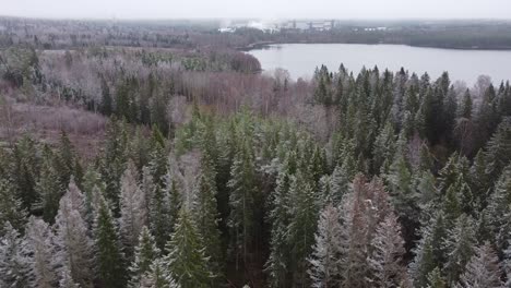 Slow-fly-by-over-a-forest-and-a-lake-in-a-distance-with-a-frost-over-the-trees
