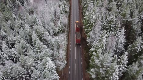 Orange-truck-and-several-cars-passing-by-on-the-road-in-a-lush-forest-during-winter-season