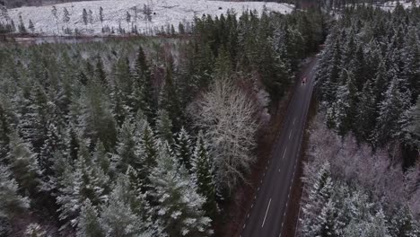 Road-serving-as-a-leading-line-in-a-forest-surrounded-area-during-early-winter