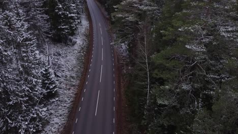 establishing-shot-of-a-road-as-leading-line-surrounded-by-a-forest-during-winter-and-frost