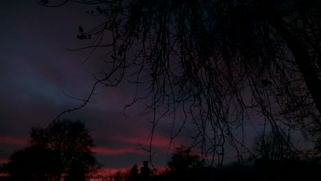 Red-sunset-and-clouds-with-tree-branches-moving-in-the-wind
