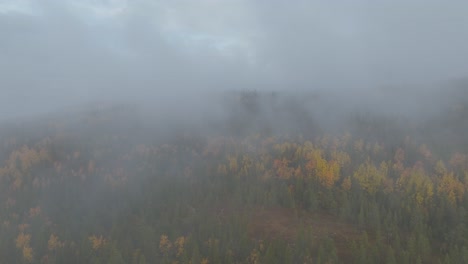 Drohne-Schoss-An-Einem-Herbsttag-In-Den-Wolken-über-Dem-Wald-In-Norwegen