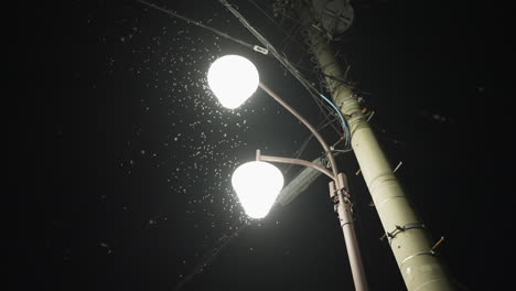 Abundance-of-insects-encircling-a-bright-white-street-light-in-the-dark,-up-shot