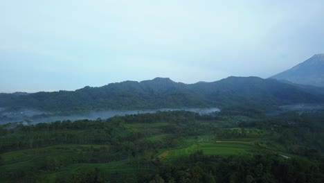 Reveal-drone-shot-of-rural-landscape-of-rice-field-woth-forest-and-hill-in-the-misty-morning---Tropical-landscape-of-Indonesia