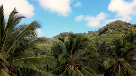 Statische-Luftaufnahme-Des-Schlafenden-Riesen,-Kapaa-Hill---Kauai,-Hawaii-Aufnahme,-Die-Den-Wunderschönen-Tropischen-Wald-Mit-Palmen-Und-Bergen-Zeigt