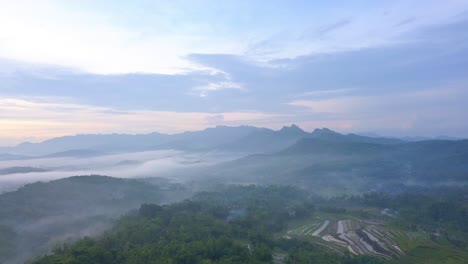 Luftpanorama-Der-Tropischen-Landschaft,-Die-Mit-Nebel-über-Reisfeld-Und-Wald-In-Asien-Bedeckt-Ist