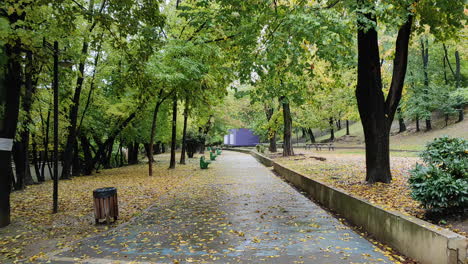 Outdoor-front-view-of-a-walking-path-in-park-with-tall-trees-in-Autumn
