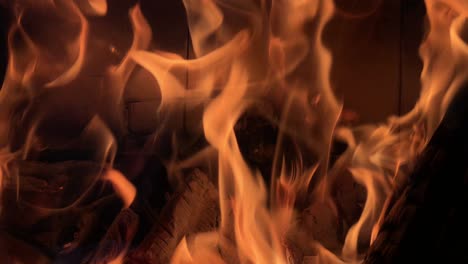 fire-flame-burning-wood-extreme-close-up