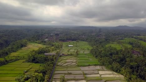 Unbelievable-aerial-view-flight-wide-ponorama-overview-drone
of-bali-rice-field,-daytime-summer-2017