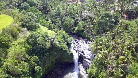 Natürlicher-Großer-Wasserfall-Im-Urwald