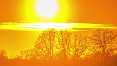 Hellgoldener-Sonnenuntergang-In-Der-Winterlandschaft---Zeitraffer-Einer-Hellen,-Feurigen-Sonne-Hinter-Blattlosen-Bäumen