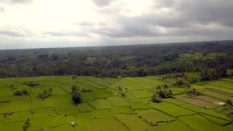 Wolken-über-Bali-Grünem-Reisfeld