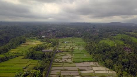 Großer-Himmel-über-Bali-Ricefield