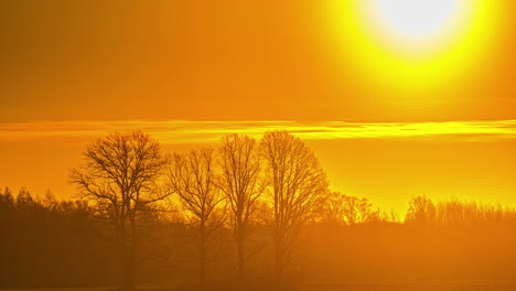 Super-bright-yellow-sunrise-in-rural-area-with-tree-silhouettes,-time-lapse