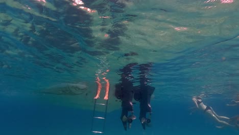 Slow-motion-under-water-scene-of-human-legs-and-feet-in-sea-water-beneath-surface-protruding-from-motorboat-ladder