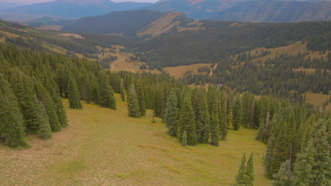 Luftaufstieg-über-Bäume-Mit-Bergen-Am-Horizont-In-Crested-Butte-In-Den-Colorado-Rockies