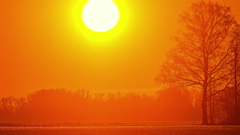 Filmischer-Sonnenaufgang-Im-Zeitraffer-Mit-Orangefarbenem-Licht-Und-Tannen-Am-Horizont