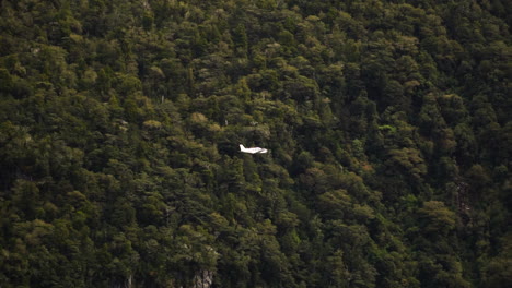 Tracking-shot-of-a-plane-flying-through-Milford-Sound-Fiord,-South-west-of-New-Zealand-South-Island