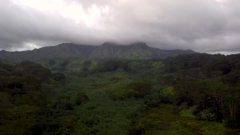 Cinematic-descending-aerial-footage-revealing-lush-green-rainforest,-rivers-and-green-mountains-with-sunset-clouds
