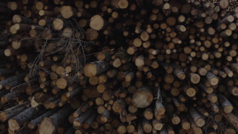 4k-Close-up-drone-shot-of-trunks-of-logs-in-stock-in-a-forest-timber-factory-in-Sweden.