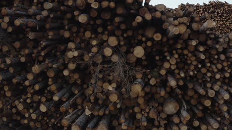4k-Close-up-drone-shot-of-trunks-of-logs-in-stock-in-a-forest-timber-factory
