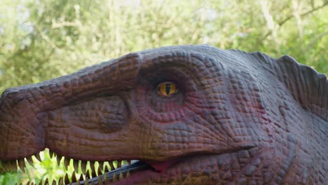 Animatronischer-Dimetrodon-Dinosaurier-öffnet-Sein-Auge,-Kopf-Zoomen,-4k,-60fps