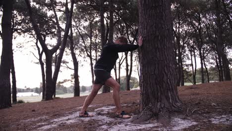 Man-Stretches-On-Pine-Tree-Among-Trees