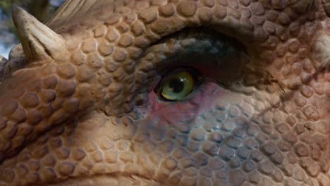 Pachycephalosaurus-Dinosaur-green-eye-close-up,-4K,-60-fps