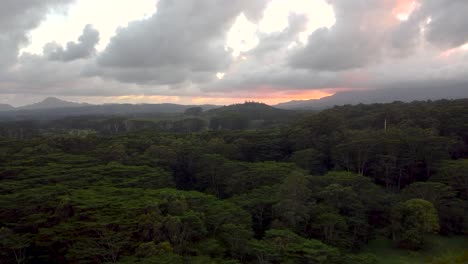 Cinematic-aerial-flyover-revealing-lush-green-rainforest,-rivers,-mountains-and-streams-during-sunset-with-yellow-clouds