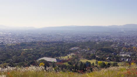 Die-Beste-Aussicht-In-Nara