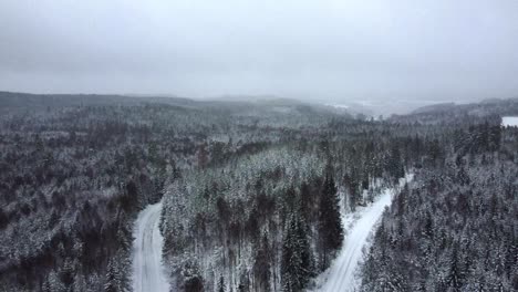 Forest-in-winter-panning-drone-shot-with-fog-in-the-distance