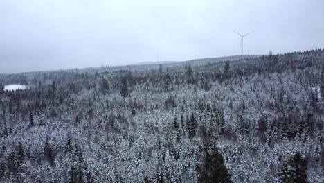 Massive-forest-covered-in-snow,-sky-with-fog-and-wind-turbine-in-a-distance