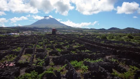 Azores,-Pico-islands-volcano-"Pico"-behind-vineyards-and-an-old-traditional-windmill