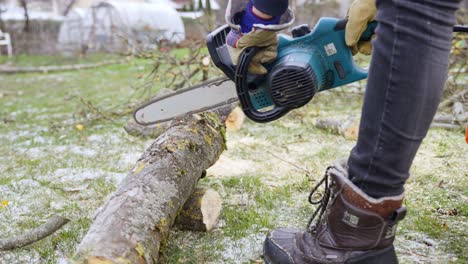Sawing-Apple-tree-trunk-with-an-electric-chainsaw---spring-cleaning-in-garden