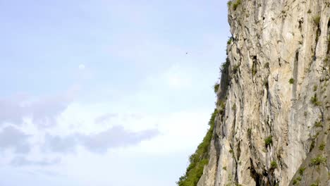 A-Bird-Flying-Off-Of-The-Rocky-Mountain-Of-Ha-Long-Bay,-Vietnam---Tilting-Shot
