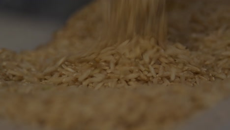 Close-Up-of-Brown-rice-being-scooped-and-poured-with-a-measuring-cup