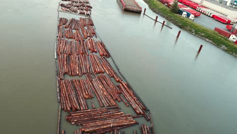 Many-Log-Booms-being-Pulled-up-River-by-Tug-Boats-overhead-shot
