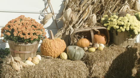 Close-up-on-autumn-decorations.--White-clapboard-house