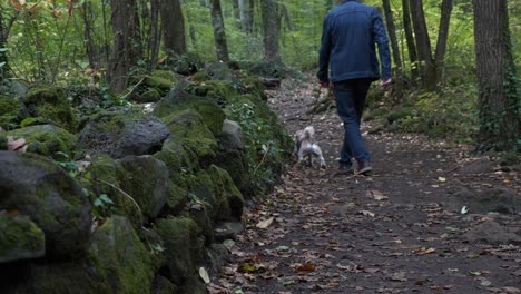 Man-walking-dog-through-woodland-forest-wilderness-tree-trail