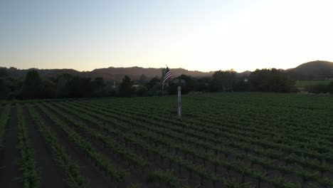 straight-pull-away-of-american-flag-in-the-napa-valley-showing-large-vineyard