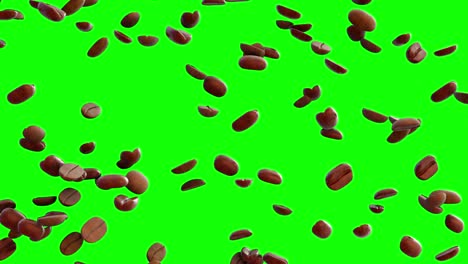Video-of-Falling-coffee-beans-with-green-screen-background